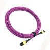 Buy cheap 12 Core OM4 Lszh Patch Cable , SENKO Female Mpo Patch Cord Purple Color from wholesalers