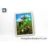 Buy cheap Pet Material Custom Lenticular Printing , Birds 3D Pictures Of Animals 0.6MM Thickness from wholesalers