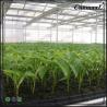Buy cheap Brand new 200 holes plastic seedling tray in custom design from wholesalers