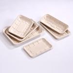 Supermarket Bagasse Food Tray Disposable Food Grade Various Sizes Available