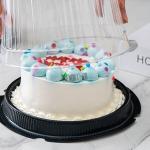 Custom 8 Inch Cake Container Transparent PET Round For Birthday And Party