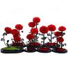 Buy cheap Hot Selling Preserved Rose with Glass Dome Mini Artificial Flowers Preserved Flowers for Valentines day Gifts from wholesalers