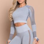 Women Yoga ApparelYoga Crop Top Seamless Leggings Gym Set High Waist Legging