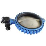 Wafer DIN2501 PN16 1.6Mpa 24" Lug Type Butterfly Valve