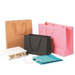 Durable PMS Printing 200gsm C1S Board Paper Shopping Bag