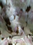 Flameproof Long Hair Fur Fabric For Warmth And Comfort
