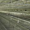 Buy cheap Battery Poultry Farming Equipment , Durable H Type 192 Baby Chicken Cage from wholesalers