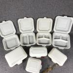 Corn Starch Bento Compartment Eco-Friendly Packaging Disposable Biodegradable
