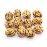 Wholesale Chinese Low Price High Quality Chinese Healthy Raw Dried Butterflies