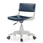 360 Degree Swivel Chair Height Adjustable Optional Colors Commercial Room Office