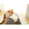 Buy cheap Interactive Corrugated Cat Scratch Board Burlywood Modern Pet Furniture Cat Scratching Post from wholesalers
