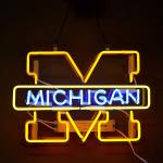 Neon Signs Light Sign Home Beer Bar Pub Recreation Room Game Lights Windows
