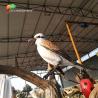 Buy cheap ISO Garden Ornaments Realistic Animatronic Looking Bird Lifelike Animals from wholesalers