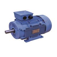 Buy cheap Iec 60034 31 Iec 60252 1 Single Phase Asynchronous Motor Aluminum product
