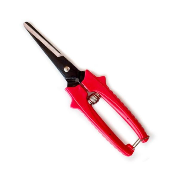 Buy cheap Multi-Tasking Small Garden Pruning Snips Straight Florist Scissors Shears from wholesalers