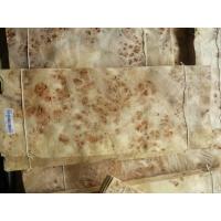 Buy cheap Mappa Burls Wood Veneer product