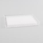 Full Skirt Polypropylene Clear 40ul 384 Well PCR Plates Disposable Plastic