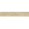 Buy cheap Aspenwood Cafe Shop Outdoor Duke Beige Wood Plank Porcelain Tile 200*1200 MM Size from wholesalers