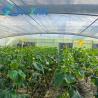 Buy cheap 30-Day Return Fog Prevention System for Flower Production in Arched Roof Greenhouse from wholesalers