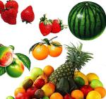 Industrial Fresh Potato Automatic Fruit Vegetable Washing Line