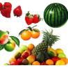 Buy cheap Customized Fruit Vegetable Washing Machine Ginger Bubble Washing Machine from wholesalers