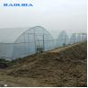 Buy cheap Agricultural 8m Width PE Film Single-Span Tunnel Plastic Greenhouse For Vegetables Growing from wholesalers