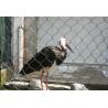 Buy cheap Safety 304 304L 316 316L Stainless Steel Cable Netting Knotted Rope Mesh from wholesalers