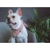 Buy cheap 45x45cm Custom Dog Bandana Collars For Puppies Polyester Cotton Polymeric from wholesalers