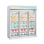 -22C Vertical Glass Door Freezer Commercial Meat Seafood Frozen Display Freezer