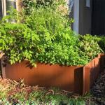 Outdoor Square Corten Steel Raised Beds For Vegetable Flower Planter Edge
