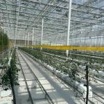 Hydroponic Glass Greenhouse for Flowers Shipping Cost and Estimated Delivery