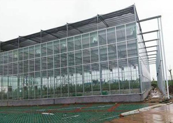 Buy cheap Commercial / Agricultural Greenhouse , Polycarbonate Sheet Greenhouse from wholesalers