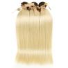 Buy cheap 1b/613 Brazilian Straight Hair Weave Bundles With Closure Golden Color from wholesalers