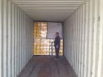 darwin temp fencing panels for sale made in china high quality temp fencing site
