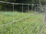ISO-2001 50-100m High Tensile Sheep And Goat Fence For Australia Market