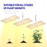 Buy cheap 200w LED T5 Grow Lights Greenhouse Lighting System from wholesalers