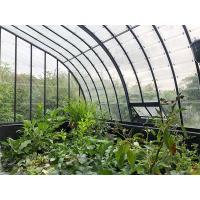 Buy cheap Tempered 4mm Greenhouse Roof Glass for Vagetables and Plants product