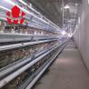 Buy cheap Cage Manufacturer 90 - 160 Birds Hot Galvanized Laying Hen Farming Equipments Layer Chicken Cage from wholesalers
