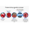 Buy cheap ISO Commercial Freeze Dry Machine For Meat Fruit Vegetable from wholesalers