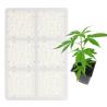 Buy cheap High PAR Output Full Spectrum Cree Led Grow Lights / Led Grow Panel Light 600W from wholesalers