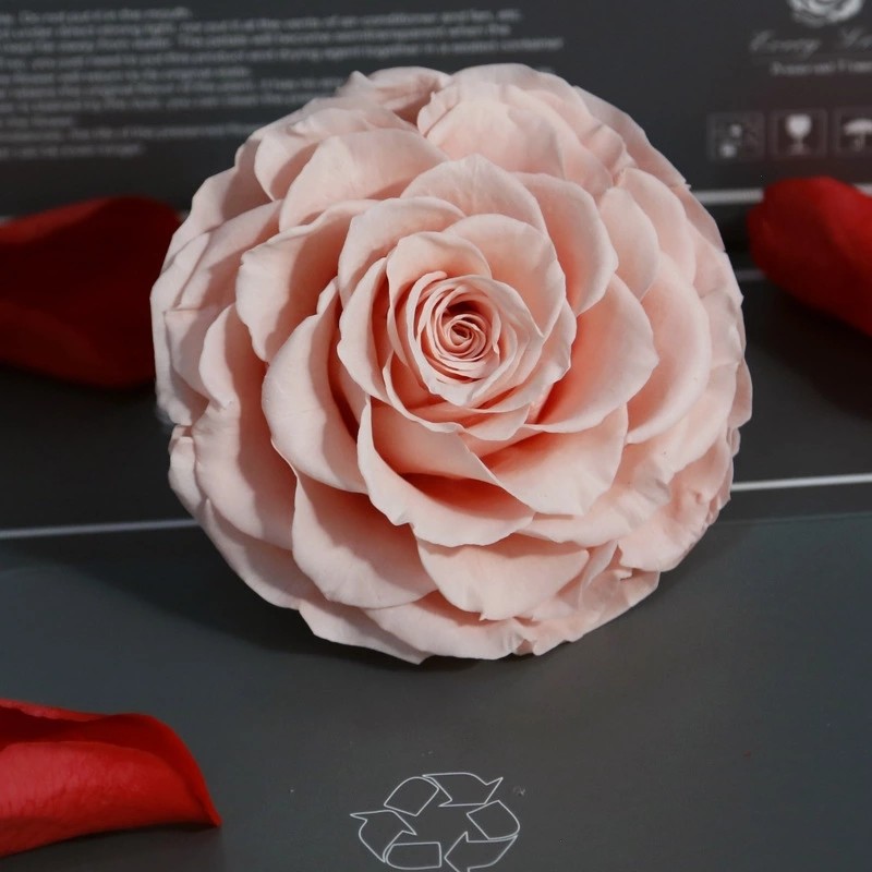 New Technique Preserved Rose Handmade Real Forever Giant Rose