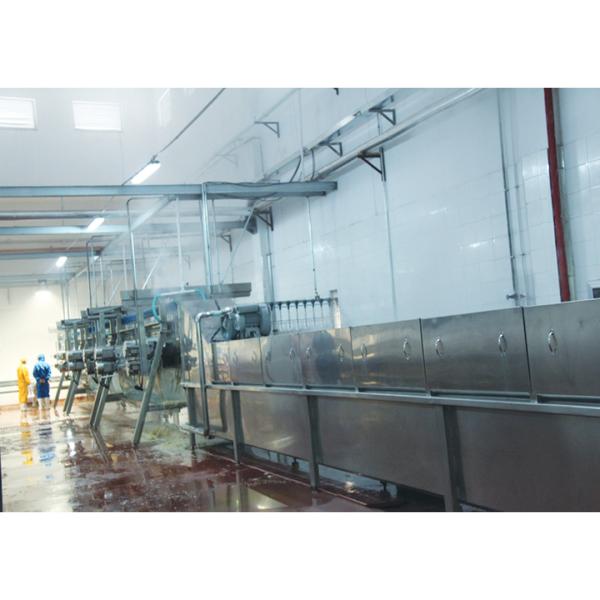 Buy cheap Complete Chicken Slaughtering Line 500-10000bph Slaughterhouse Poultry Killing Equipment from wholesalers