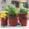 Buy cheap Lightweight 1 Gallon Plastic Flower Pots 18.5cm For Leek Seedling from wholesalers
