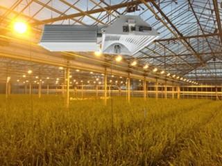 Buy cheap 155lm/w 160000lm Indoor Grow Lights , 1000W HPS Grow Lights from wholesalers