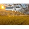 Buy cheap 155lm/w 160000lm Indoor Grow Lights , 1000W HPS Grow Lights from wholesalers