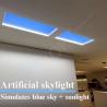 Buy cheap IP44 Rated LED Fake Skylight Panel And 95 RA CRI Standard Ideal For Smart Tuya Circadian Lighting from wholesalers