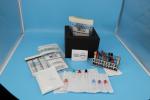 Plastic 95kPa Reusable Medical Ice Packs Insulated Shipping Kits