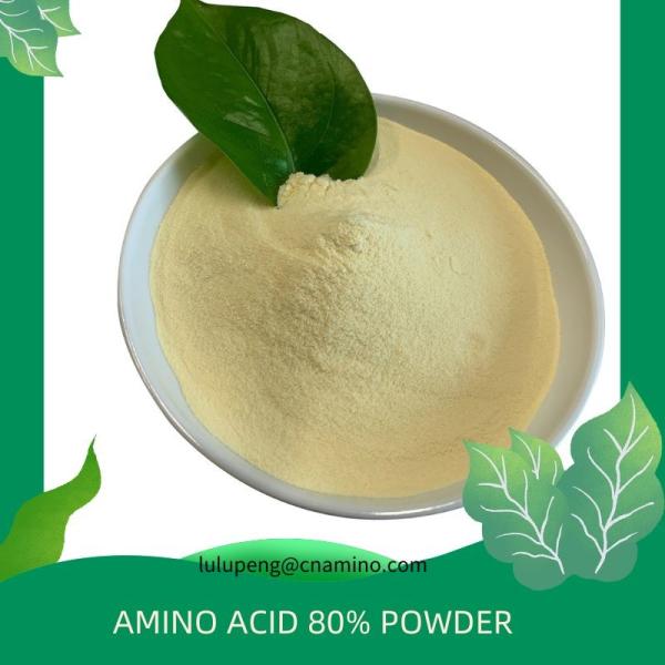 Buy cheap Organic OMRI Certified Amino Acid Fertilizer Powder, Amino Acid 16-0-0 from wholesalers