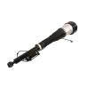 Buy cheap A2213205613 A2213205813 High Quality Rear Air Suspension Shock Absorbers Gas Strut For Mercedes Benz S Class W221 from wholesalers