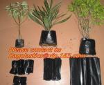 Horticulture, Planter, Grow Bag, garden bags, grow bags, hanging plant bags,